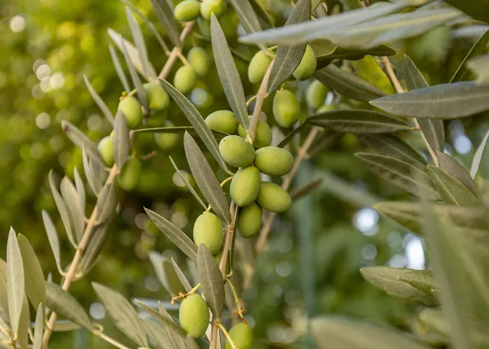 Villa Anna By Interhome *